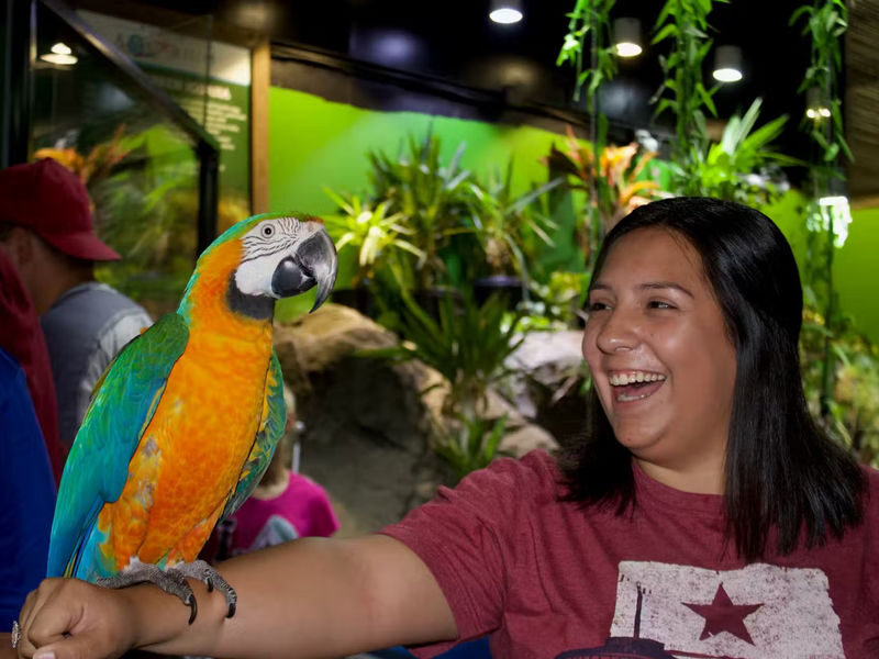 Austin Aquarium Ticket - Start with the aquatic displays