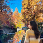 Autumn Jangtaesan Forest & Sungsimdang Bakery Day Tour from Seoul - Hanbat Arboretum and a Sungsimdang stop
