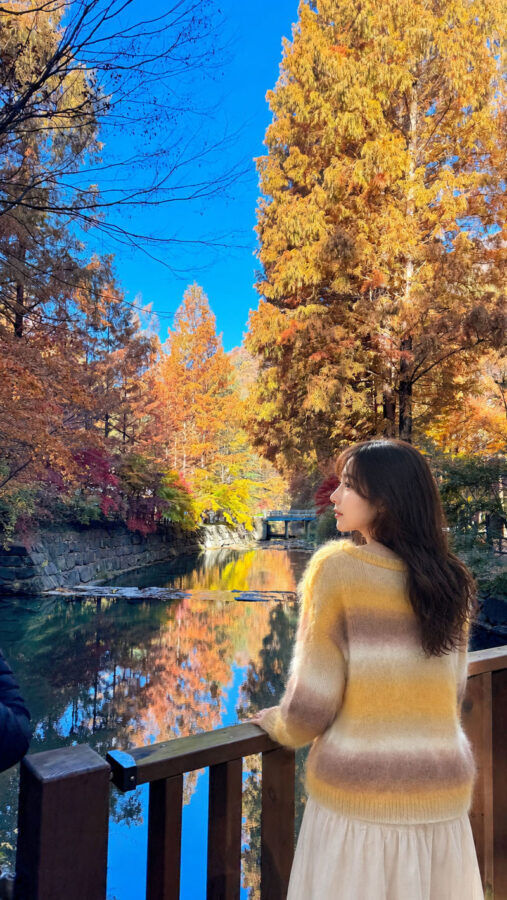 Autumn Jangtaesan Forest & Sungsimdang Bakery Day Tour from Seoul - Hanbat Arboretum and a Sungsimdang stop