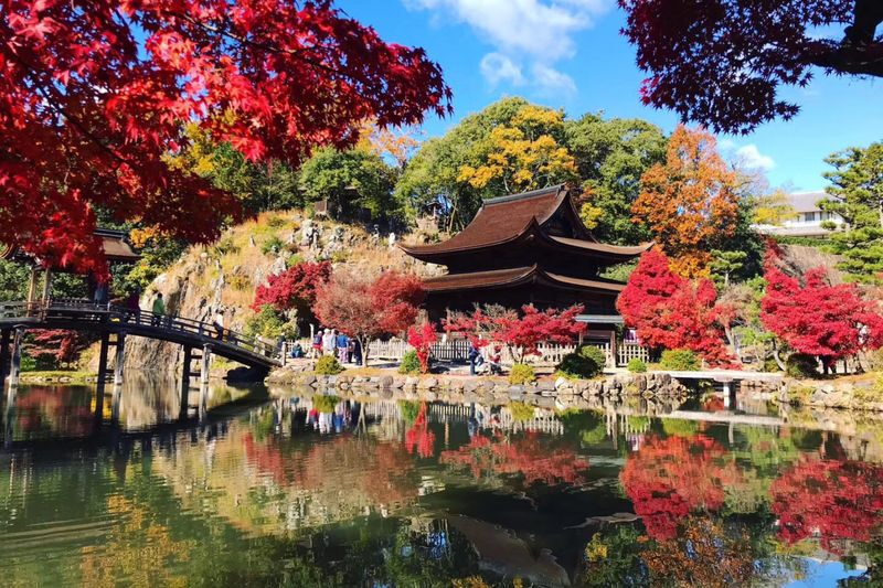 Autumn Leaves Meet Cherry Blossoms | Eihoji Temple & Shikizakura & Korankei Autumn Foliage Day Tour - Eihoji Temple: a quiet start among trees and water