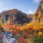 Autumn Limited: Kokonoe Bridge, Usa Shrine, Yabakei from Fukuoka - Hitome Hakkei’s eight views and lunch break