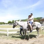 Awaji Farm Park England Hill Admission Ticket in Hyogo - Give the gardens and open grounds time