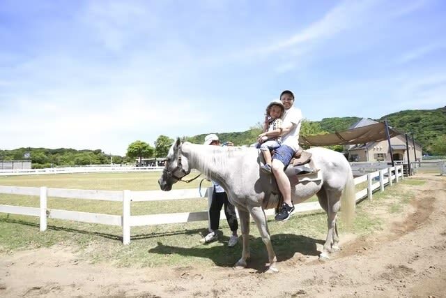 Awaji Farm Park England Hill Admission Ticket in Hyogo - Give the gardens and open grounds time