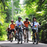 Ayung River Rafting and Cycling Combo Experience - From rice paddies to the Ayung River