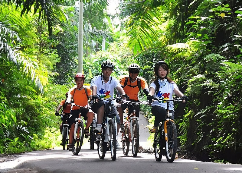 Ayung River Rafting and Cycling Combo Experience - From rice paddies to the Ayung River