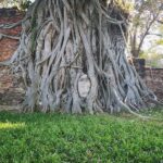 Ayutthaya Heritage Half-Day Tour + Elephant Cafe Stop (JP Guide) - Choose the elephant cafe or the floating market