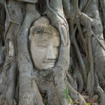 Ayutthaya Must-Visit Tour: Summer Palace, Floating Market & Temples - Wat Yai Chai Mongkhon: tall chedis and quiet Buddhas