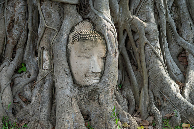 Ayutthaya Must-Visit Tour: Summer Palace, Floating Market & Temples - Wat Yai Chai Mongkhon: tall chedis and quiet Buddhas