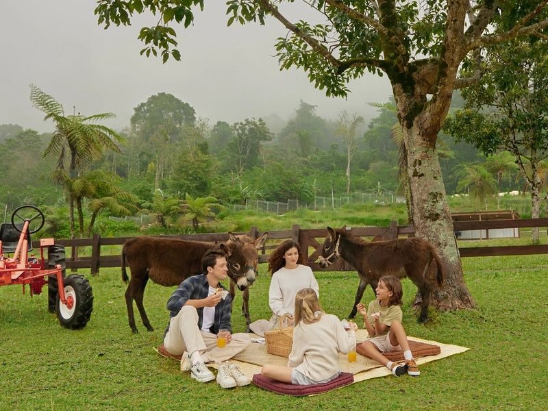 Bali Farm House Ticket - The value of admission and add-ons