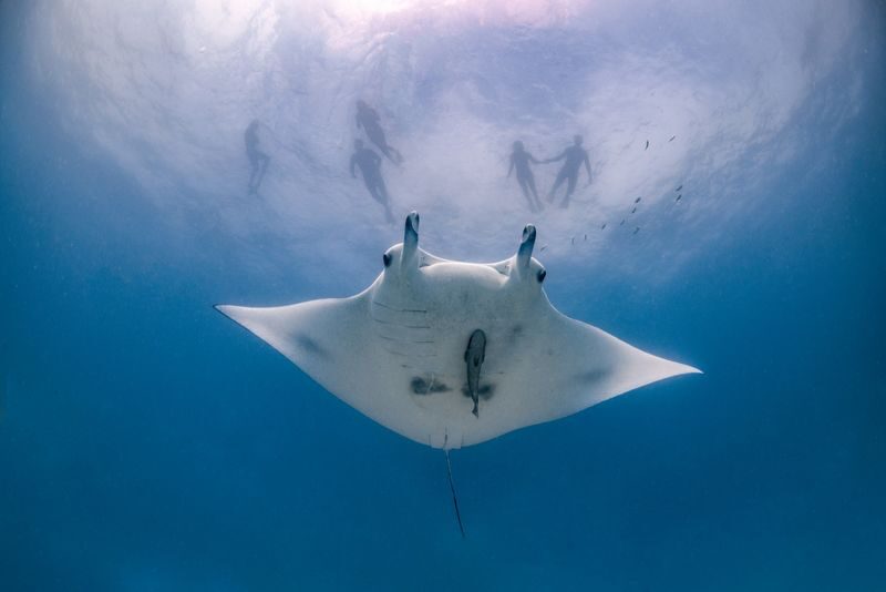 Bali: Full-Day Private Yacht - Snorkel Manta, Land Tour & Beach Club - The morning crossing and Manta Point