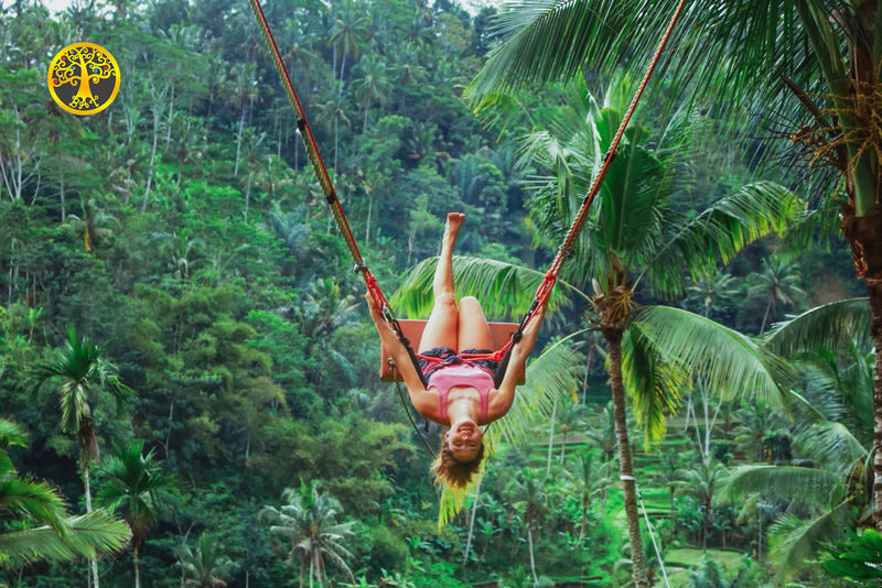 Bali Holy Bath and Jungle Swing Private Day Trip - The Ubud Jungle Swing, with a view and a ticket included
