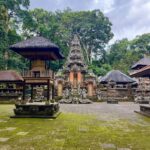 Bali Private Tour (1-5 Days) All-Inclusive with Lunch & Ticket - What fits into the Ubud day