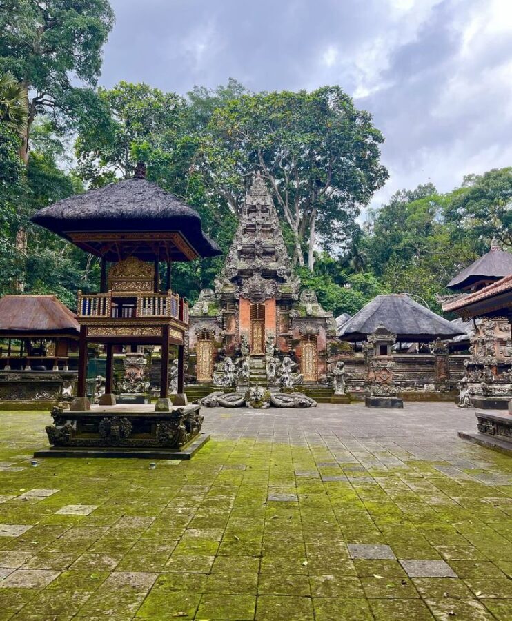 Bali Private Tour (1-5 Days) All-Inclusive with Lunch & Ticket - What fits into the Ubud day