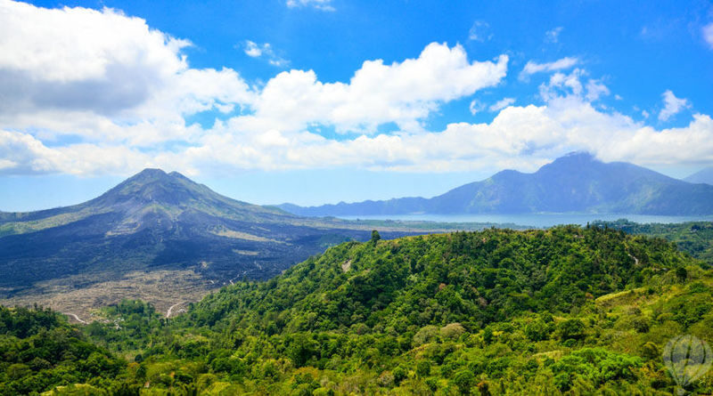 Balis Greatest Hits: Ubud & Kintamani Private Tour - Celuk silver and Mas woodwork