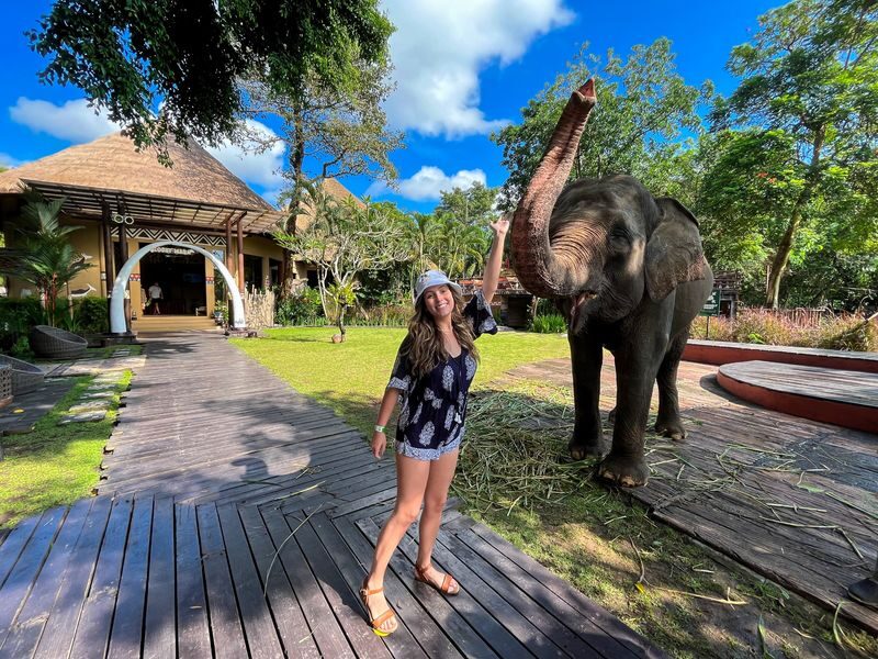 Bali Safari Park Ticket - The Night Safari: tram, walk, and close encounters