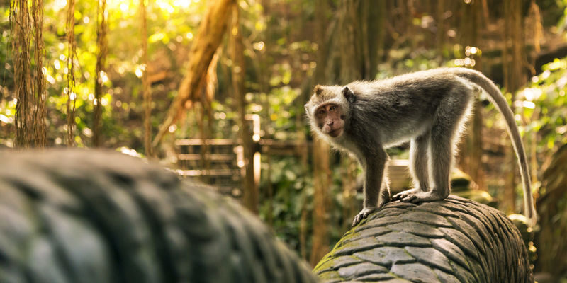 Bali Ubud Palace & Tirta Empul Private Full-Day Tour - Goa Gajah: start with a temple visit