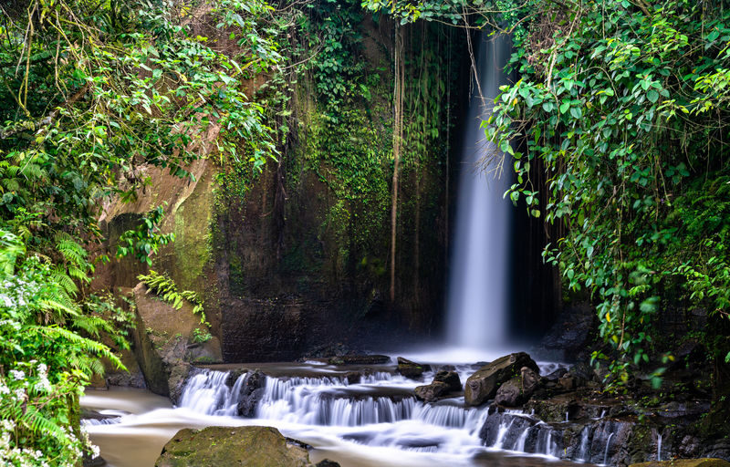 Bali Waterfall Private Full-Day Tour - Suwat, Manuaba, Tegenungan and Kanto Lampo
