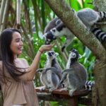 Bali Zoo Ticket - Choose Your Ticket Around the Experience You Want