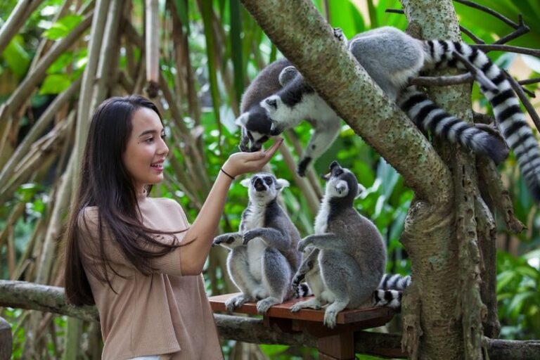 Bali Zoo Ticket - Choose Your Ticket Around the Experience You Want