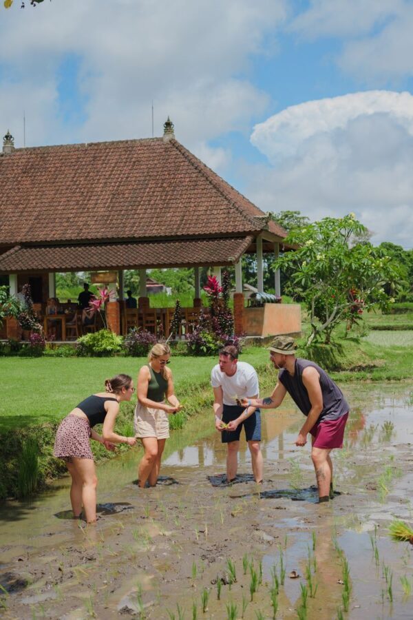 Balinese Healing Journey, Cooking Class, Cycling, or Balinese Living Experience at Bali Rural Commune - Choose the experience that fits your day