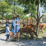 Bambi Land Ticket in Yilan - From the entrance to the feeding area