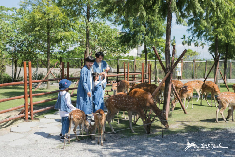 Bambi Land Ticket in Yilan - From the entrance to the feeding area