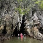 Ban Bor Thor Kayaking Tour in Krabi by TTD Global - Mangroves at paddling speed