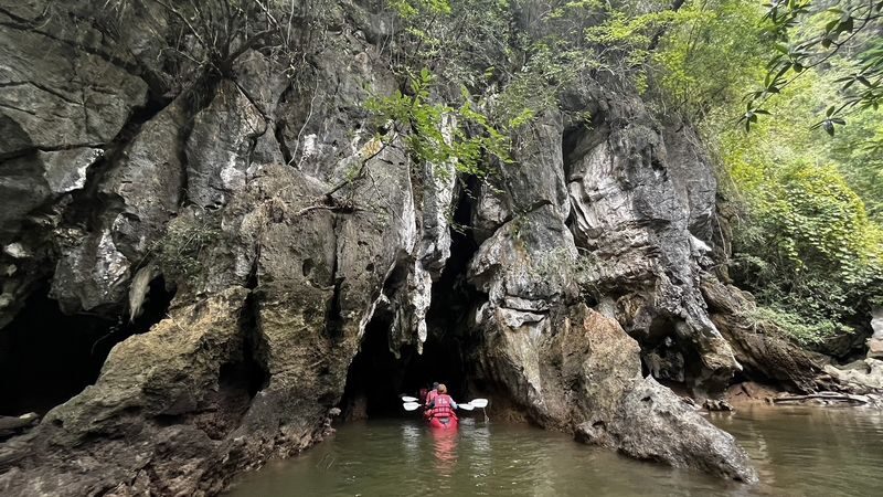 Ban Bor Thor Kayaking Tour in Krabi by TTD Global - Mangroves at paddling speed