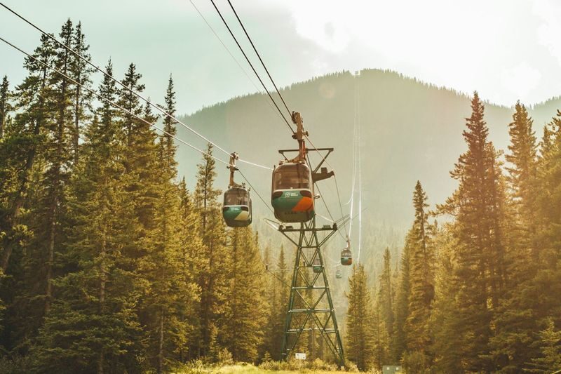 Banff Gondola Ticket - The boardwalk toward Sanson’s Peak