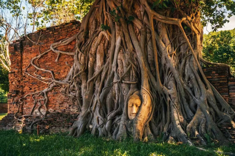 Bangkok Ayutthaya & Bang Pa-In Palace Small Group Tour - Bang Pa-In Palace adds a different kind of stop