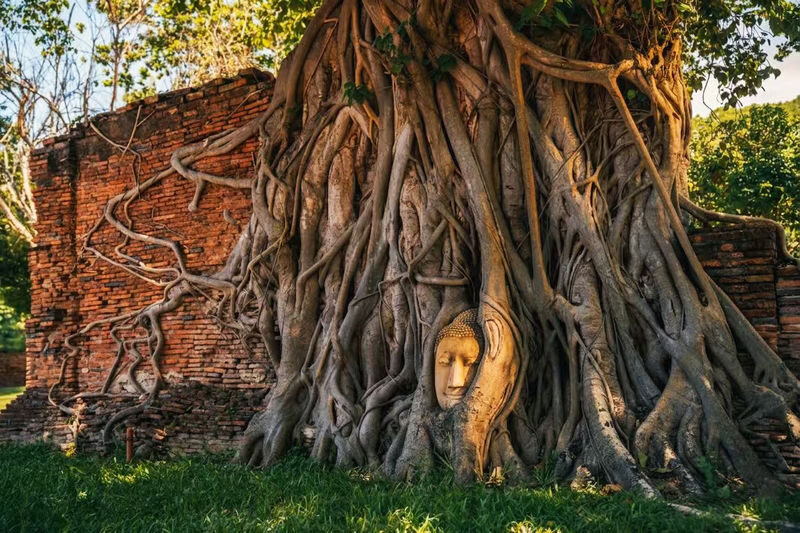 Bangkok Ayutthaya & Bang Pa-In Palace Small Group Tour - Bang Pa-In Palace adds a different kind of stop