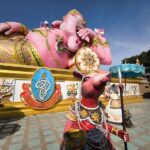 Bangkok City ⇔ Pink Gasha Shared Vehicle Round-trip Transfer Plan by Panda Bus - The ride is the main value