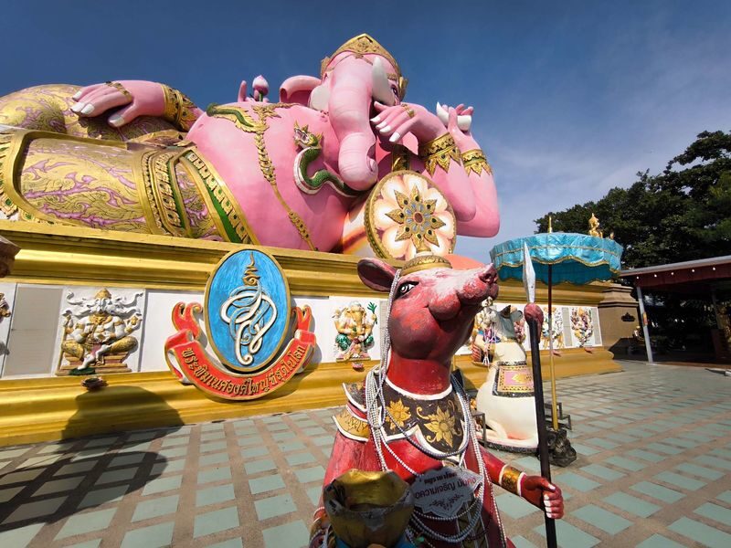 Bangkok City ⇔ Pink Gasha Shared Vehicle Round-trip Transfer Plan by Panda Bus - The ride is the main value