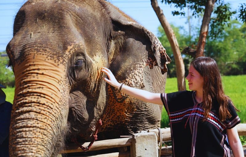 Bangkok Elephant Care Program at Bangkok Elephant Park - First, learn how elephants behave