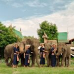 Bangkok Elephant Park and Grand Palace Full Day Tour - At the Grand Palace, look beyond the gold