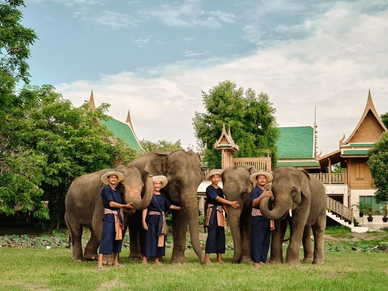 Bangkok Elephant Park and Grand Palace Full Day Tour - At the Grand Palace, look beyond the gold