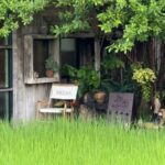 Bangkok River Khwae Bridge Historical Multi-Day Tour - Riding the Death Railway