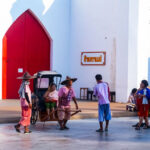 Bangkok Safari Park Kanchanaburi Full-Day Private Tour - Close encounters at Kanchanaburi Safari Park