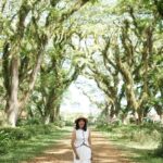 Banyuwangi Multi-Day Tour With Optional Photographer - Day one: boats, beach and reef time