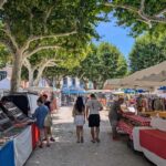 Barcelona Girona & Collioure Full-Day Small Group Tour - Girona’s medieval lanes, Cathedral and screen locations
