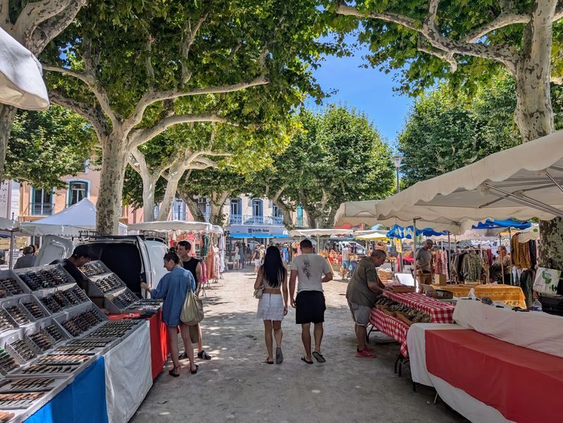 Barcelona Girona & Collioure Full-Day Small Group Tour - Girona’s medieval lanes, Cathedral and screen locations