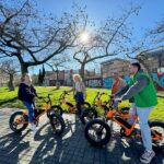 Barcelona Montjuïc Half-Day Small Group Electric Bike Tour - How the electric bike changes the climb