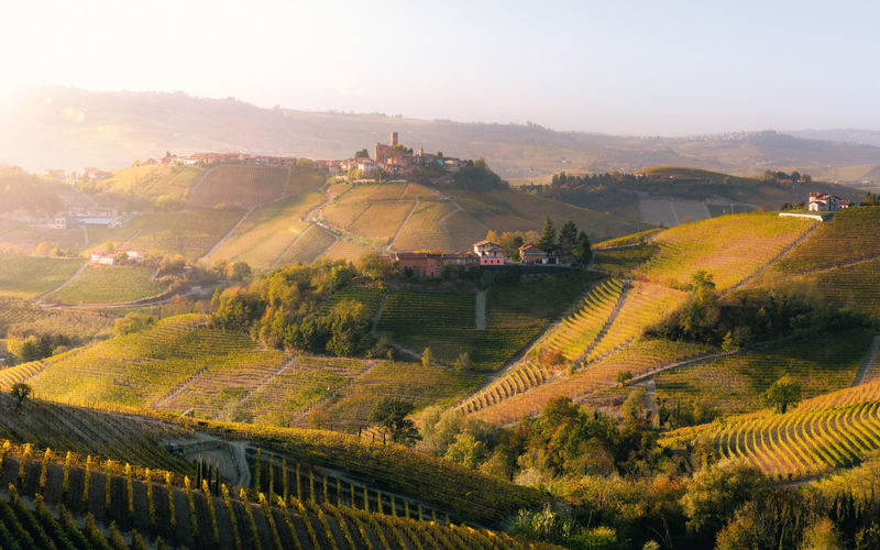 Barolo Vineyards & UNESCO Wine Cathedral Experience - What the vineyard portion may add