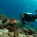 Basic Diving for Beginners - From the briefing to the shallow-water practice