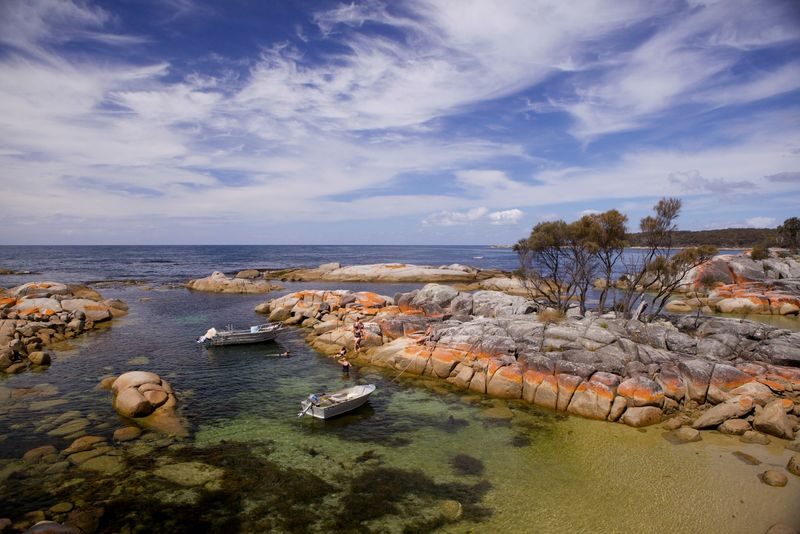 Bay of Fires & Binalong Bay Full-Day Tour - A forest walk, not a wilderness trek