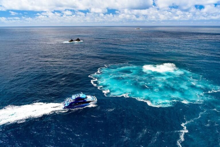 Bay of Islands Explorer Experience Small Group Tour - Dolphin watching: an opportunity, not a guarantee