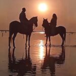 Beach Horseback Riding Experience in Gili Islands Lombok - What the one-hour ride is like