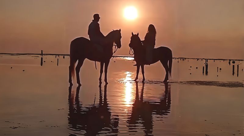 Beach Horseback Riding Experience in Gili Islands Lombok - What the one-hour ride is like