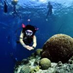 Beginner Scuba Diving in Moalboal with PADI - A small group helps first-timers settle in
