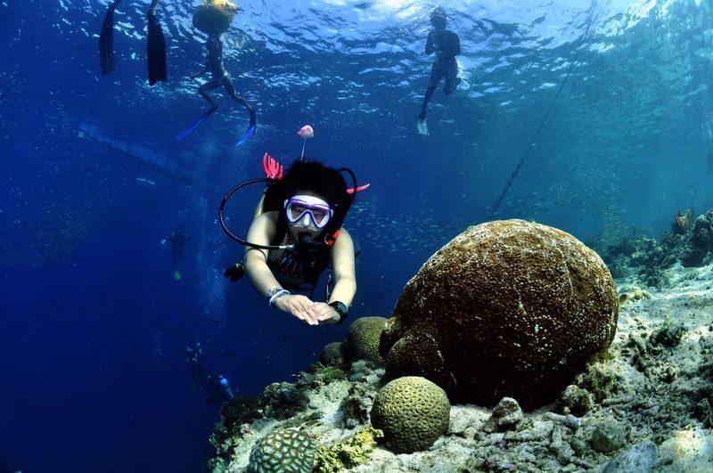 Beginner Scuba Diving in Moalboal with PADI - A small group helps first-timers settle in